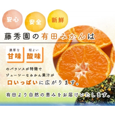 ＜先行受付＞こだわりの有田みかん　ご家庭用5kg(サイズおまかせ)