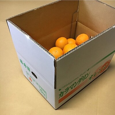 【2025年3月下旬より順次発送】カラマンダリン ご家庭用約5kg