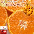 【11月より発送】こだわりの有田みかん　赤秀　2kg　サイズお任せ　2S～M