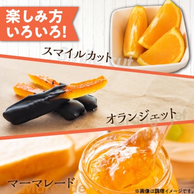 【2025年3月発送】こだわりの清見オレンジ　ご家庭用　訳あり　5kg