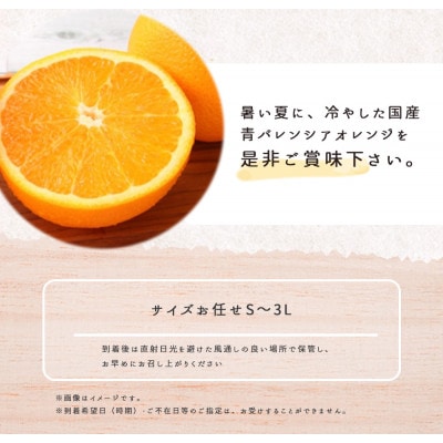 2025年6月下旬より順次発送　国産バレンシアオレンジ　秀優　3Kg