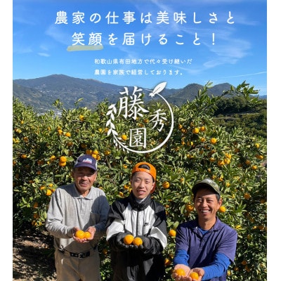2025年6月下旬より順次発送　国産バレンシアオレンジ　秀優　3Kg