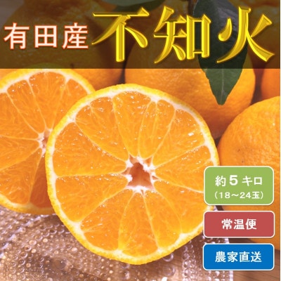 ひだまりみかん家の不知火 約5kg(18～24玉)　ひとつひとつ手選別で厳選!生産者から直送