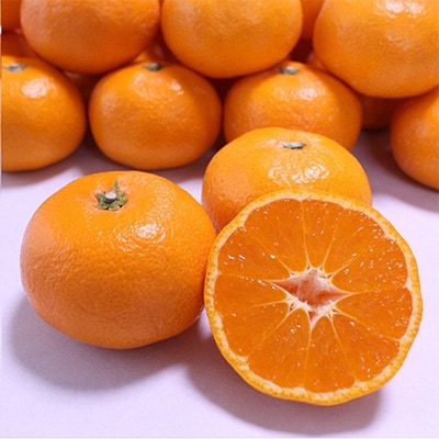 ひだまりみかん家のこだわり有田みかん5kg(S～Lサイズ)ひとつひとつ手選別で厳選!生産者から直送