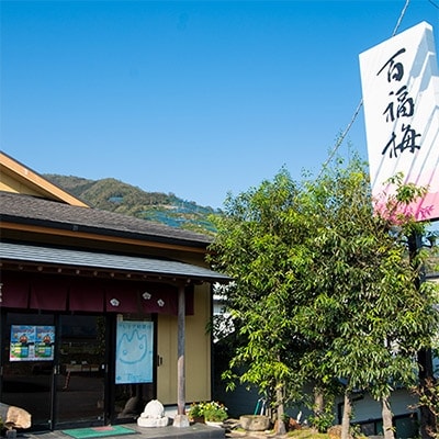 紀州の梅干し　有田みかん蜂蜜梅(紀州南高梅/700g)化粧箱入り　塩分8%