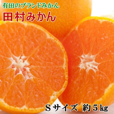 2025年11月より順次発送【ブランドみかん】田村みかん約5kg(Sサイズ・秀品)