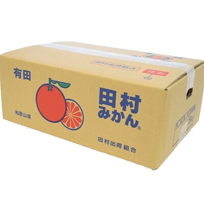 2025年11月より順次発送【ブランドみかん】田村みかん約5kg(Sサイズ・秀品)
