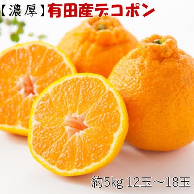 【お味濃厚】紀州有田産の大玉デコポン約5kg(12玉～18玉入り)(湯浅町)