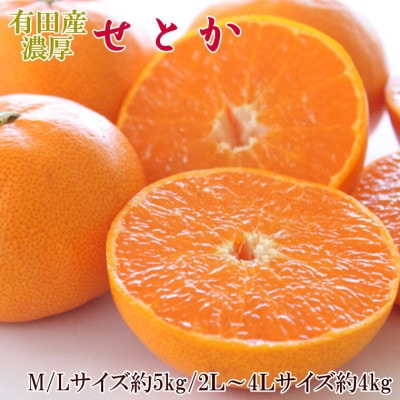 一度は食べていただきたい「有田産のせとか」約4kg～5kg(サイズおまかせ)【湯浅町】