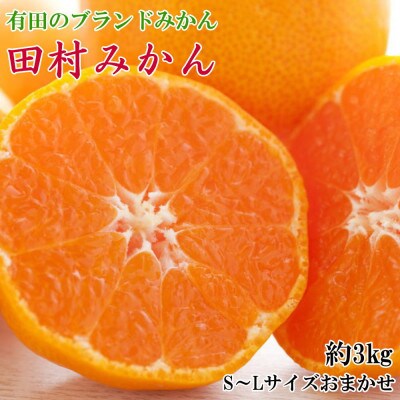 【ブランドみかん】田村みかん約3kg(S.M.Lサイズおまかせ・秀品)
