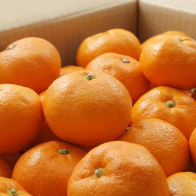 【ブランドみかん】田村みかん約3kg(S.M.Lサイズおまかせ・秀品)
