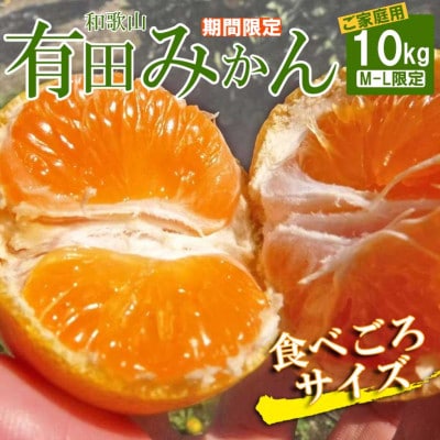 先行受付【ご家庭用】有田みかん約10kg(M～Lサイズ)【湯浅町】