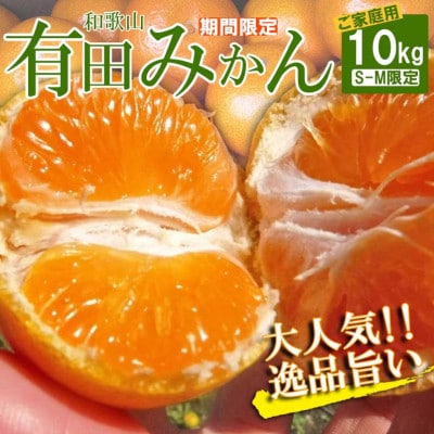 ご家庭用 有田みかん 約10kg (S～Mサイズ)先行受付【湯浅町】