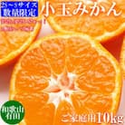 先行受付【ご家庭用】旨味凝縮有田みかん約10kg(SS、Sサイズ)【湯浅町】