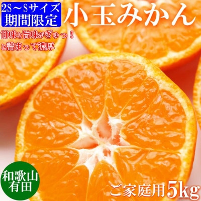 先行受付【ご家庭用】旨味凝縮有田みかん5kg(SS、Sサイズいずれか)【湯浅町】