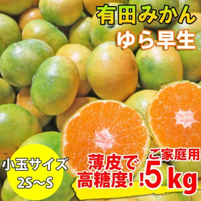 有田みかん 約5kg ご家庭用 和歌山 ゆら早生 極早生 (SS、Sサイズ)【湯浅町】
