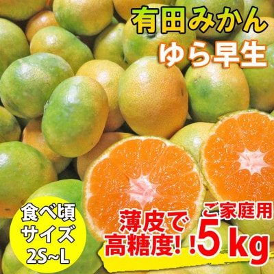 有田みかん 約5kg ご家庭用 和歌山 ゆら早生 極早生 (SS、S、M、Lサイズ)【湯浅町】