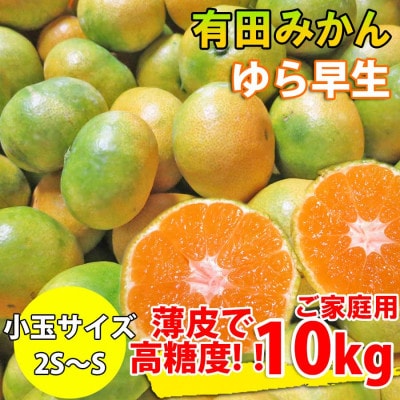 有田みかん 約10kg ご家庭用 和歌山 ゆら早生 極早生 (SS、Sサイズ)【湯浅町】