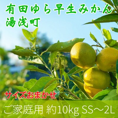 先行受付【ご家庭用 極早生】有田産ゆら早生みかん約10kg(SS、S、M、L、2Lサイズ)【湯浅町】