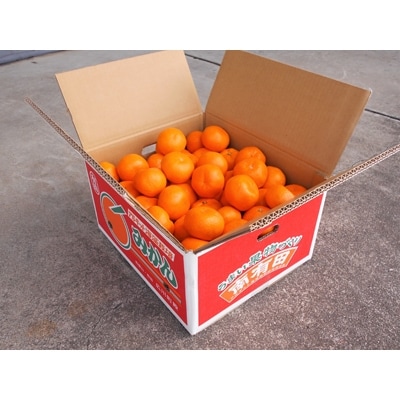 紀州有田みかん　秀品　約10kg(MまたはSサイズ)