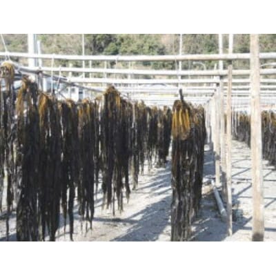 【先行予約】紀州衣奈産乾燥わかめ　150g×8パック(2025年産)