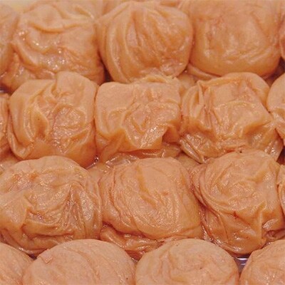 紀州南高梅》はちみつ梅干し つぶれ梅(ご家庭用)500g | お礼品詳細
