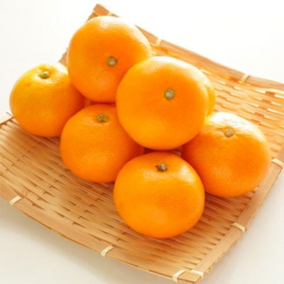 ＜先行受付＞農家直送!濃厚完熟有田みかん　Lサイズ　約10kg