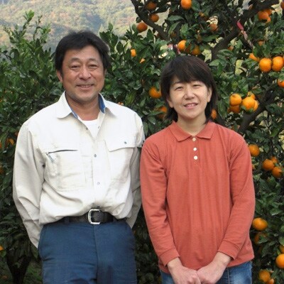 蛍飛ぶ町から旬の便り　有田みかん 5kg 2Lサイズ　平武農園の有田ブランド田口みかん
