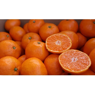農家直送!有田みかん5kg≪2Lサイズ(大玉)秀品≫　平武農園の有田ブランド田口みかん