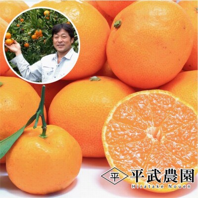 蛍飛ぶ町から旬の便り 有田みかん 3Lサイズ 5kg　平武農園の有田ブランド田口みかん　