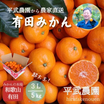 農家直送!有田みかん5kg≪3Lサイズ(超大玉)秀品≫　平武農園の有田ブランド田口みかん