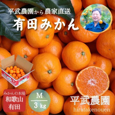農家直送!有田みかん3kg≪Mサイズ秀品≫　平武農園の有田ブランド田口みかん　～蛍飛ぶ町から旬の便り