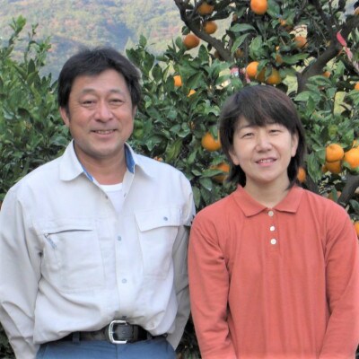 蛍飛ぶ町から旬の便り 有田みかん Mサイズ 3kg　平武農園の有田ブランド田口みかん