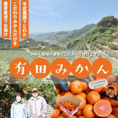 農家直送!有田みかん3kg≪Mサイズ秀品≫　平武農園の有田ブランド田口みかん　～蛍飛ぶ町から旬の便り