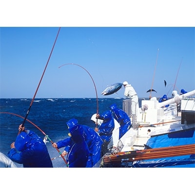 【2022年2月上旬発送】【湯浅町×串本町】一本釣り藁焼き戻り鰹タタキ1kgと柚子ポンズのセット
