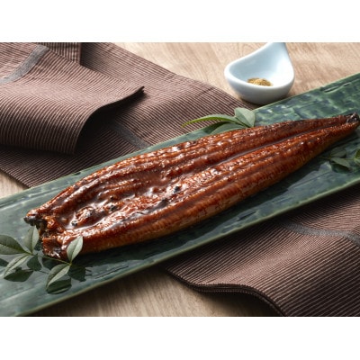 うなぎ蒲焼き2尾入り 約430g～480g(蒲焼たれ4袋 山椒付き)