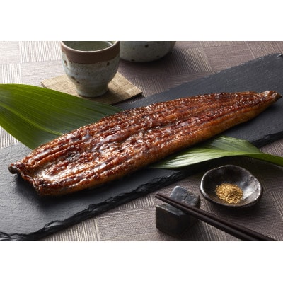 うなぎ蒲焼き2尾入り 約430g～480g(蒲焼たれ4袋 山椒付き)