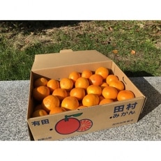 田村みかん 5kg 秀品S～L混合