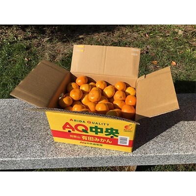ありだみかん(AQ)　10kg　秀品S～L混合