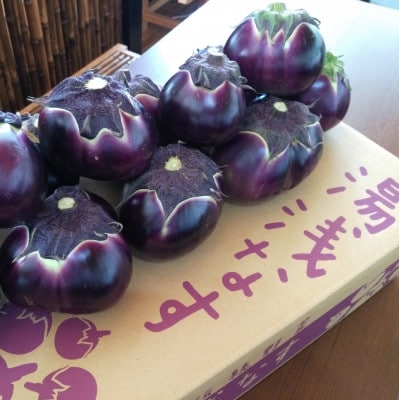 紀州伝統野菜「湯浅なす」 約4kg