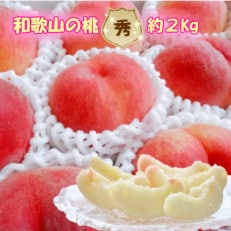 【秀品】ギフト、贈答品にも!和歌山ブランド白桃約2kg!　令和5年6月発送分 | ふるさと納税のお礼品