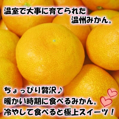 特撰品!和歌山有田の「ハウスみかん」【赤秀】2.5kg　化粧箱入り　ギフトにも　(7月発送分)