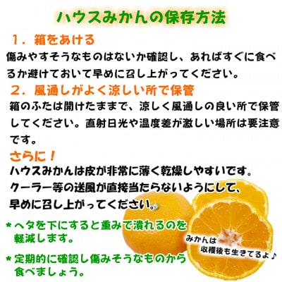 特撰品!和歌山有田の「ハウスみかん」【赤秀】2.5kg　化粧箱入り　ギフトにも　(7月発送分)