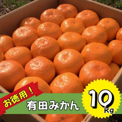 訳あり　ご家庭用「有田みかん」10kg!【2022年12月発送】