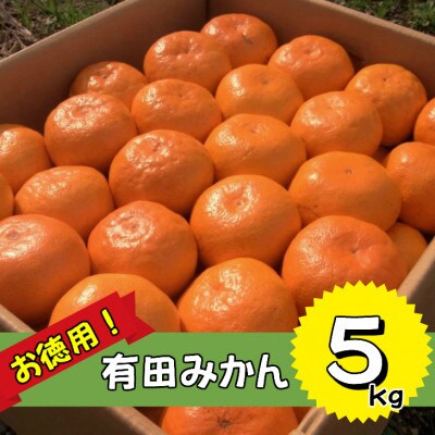 訳あり　ご家庭用「有田みかん」5kg!【2022年12月発送】