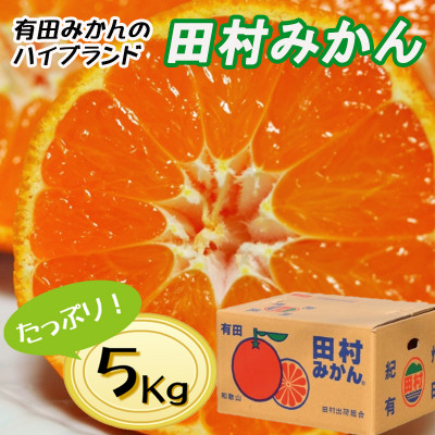 高級みかん秀品「田村みかん」5kg【11月発送分】