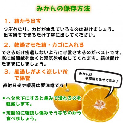 高級みかん秀品「田村みかん」5kg【11月発送分】