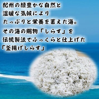 湯浅湾の釜揚げしらす!大容量700g【訳あり 家庭用】