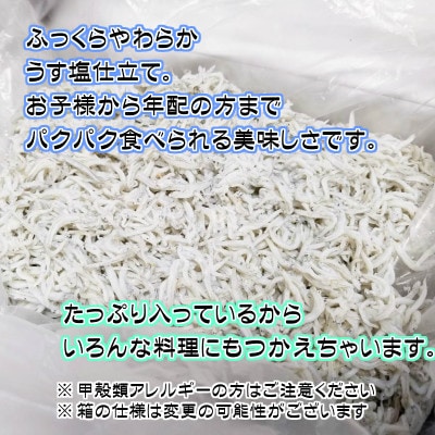 湯浅湾の釜揚げしらす!大容量700g【訳あり 家庭用】