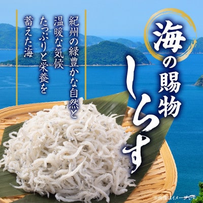 湯浅湾の釜揚げしらす!大容量700g【訳あり　家庭用】